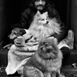 40 - John Byrne begs on the streets of Dublin with his dogs Roxy, Minty and Lilly. - Deirdre Brennan