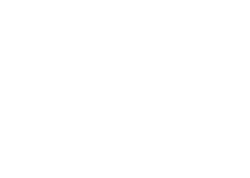 ffl_2020